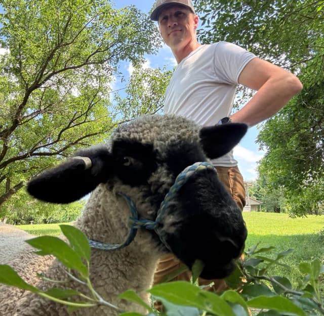 The farmer who built TakeStock, out in the pasture with one of the flock.